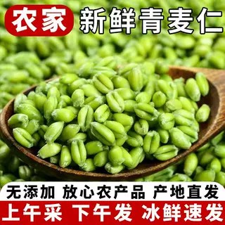 青麦仁新鲜青麦粒米去皮即食煮粥河南正宗青小麦胚芽鲜麦仁粥杂粮