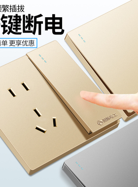国际电工开关插座面板86型暗装墙壁家用一开带5五孔多孔USB香槟金