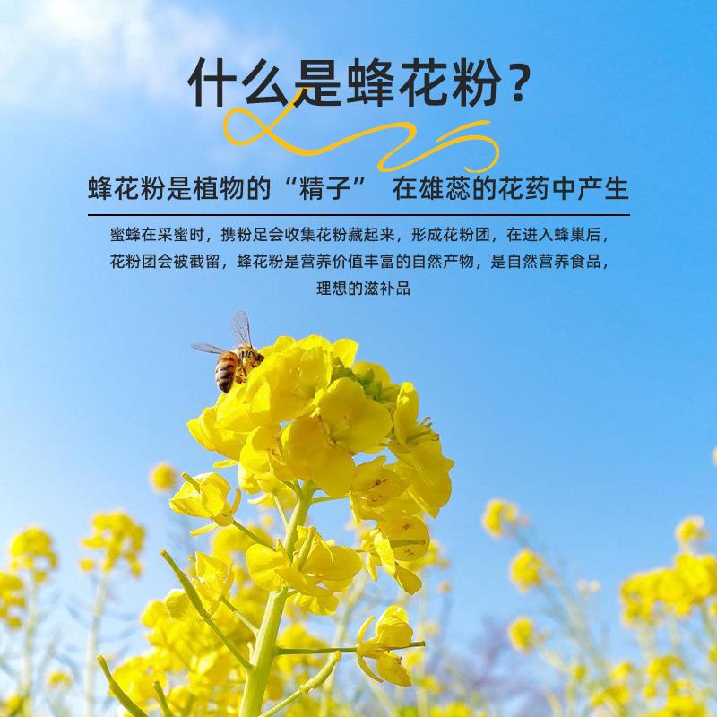 天花然未破壁油菜花粉 食蜂粉 用青海油蜂花WVA粉礼品 230g*1菜瓶