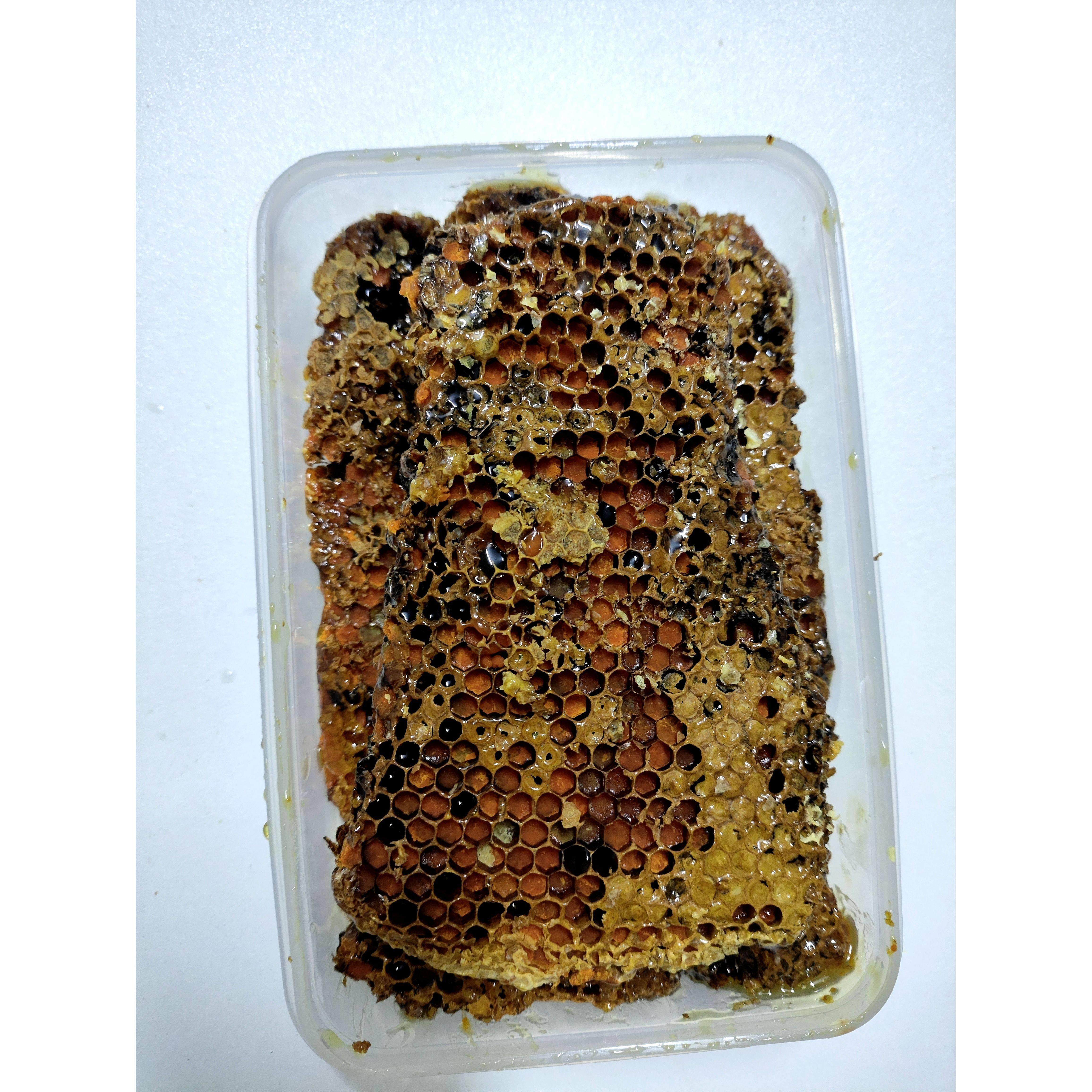 花窝野块生窝蜜带花蜂粉蜂窝蜜可以咀嚼和食用纯天然老窝蜂蜜XGE