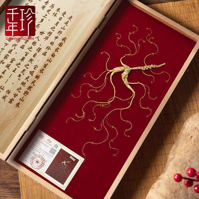 野山参礼盒长山人参林参东干移下山参人FUA参礼白盒装北特产山参