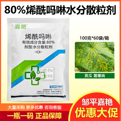80%烯酰吗啉黄瓜霜霉病