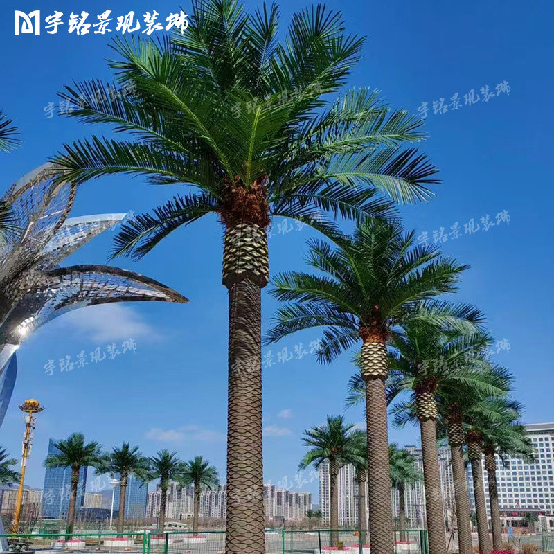 仿真加拿利海藻树大型户外玻璃钢银海枣树椰子树室外大王椰棕榈树