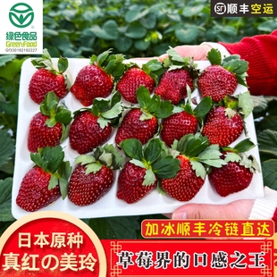 正宗真红美玲草莓日本黑珍珠黑美人建德新鲜现摘高端品种水果礼盒