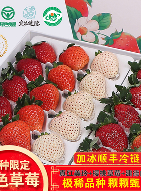 稀！宥小宝高端三色草莓建德真红美玲黑珍珠橙色白露新鲜精品礼盒