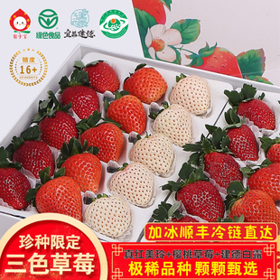 稀！宥小宝高端三色草莓建德真红美玲黑珍珠橙色白露新鲜精品礼盒