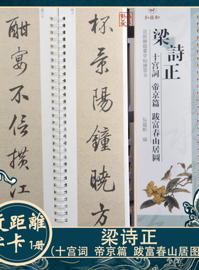 梁诗正《十宫词 帝京篇 跋富春山居图》行书字帖近距离临帖摹字卡