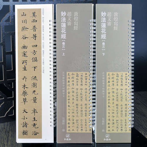 书法字帖赵文审小楷妙法莲花经