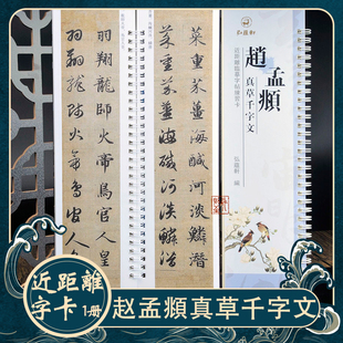 赵孟頫 真草千字文 近距离临帖摹字练习卡毛笔字经典章草书法碑帖