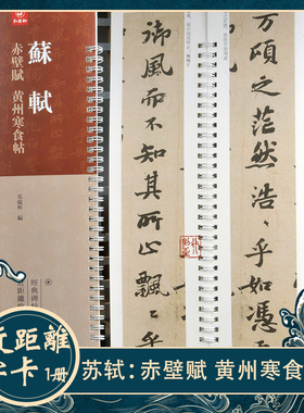 苏轼《赤壁赋 黄州寒食帖》近距离临摹字卡 行书书法毛笔字帖碑帖