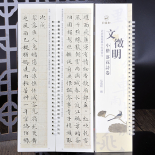 文徵明小楷：落花诗卷 文征明楷书法毛笔字碑帖 近距离临帖摹字卡