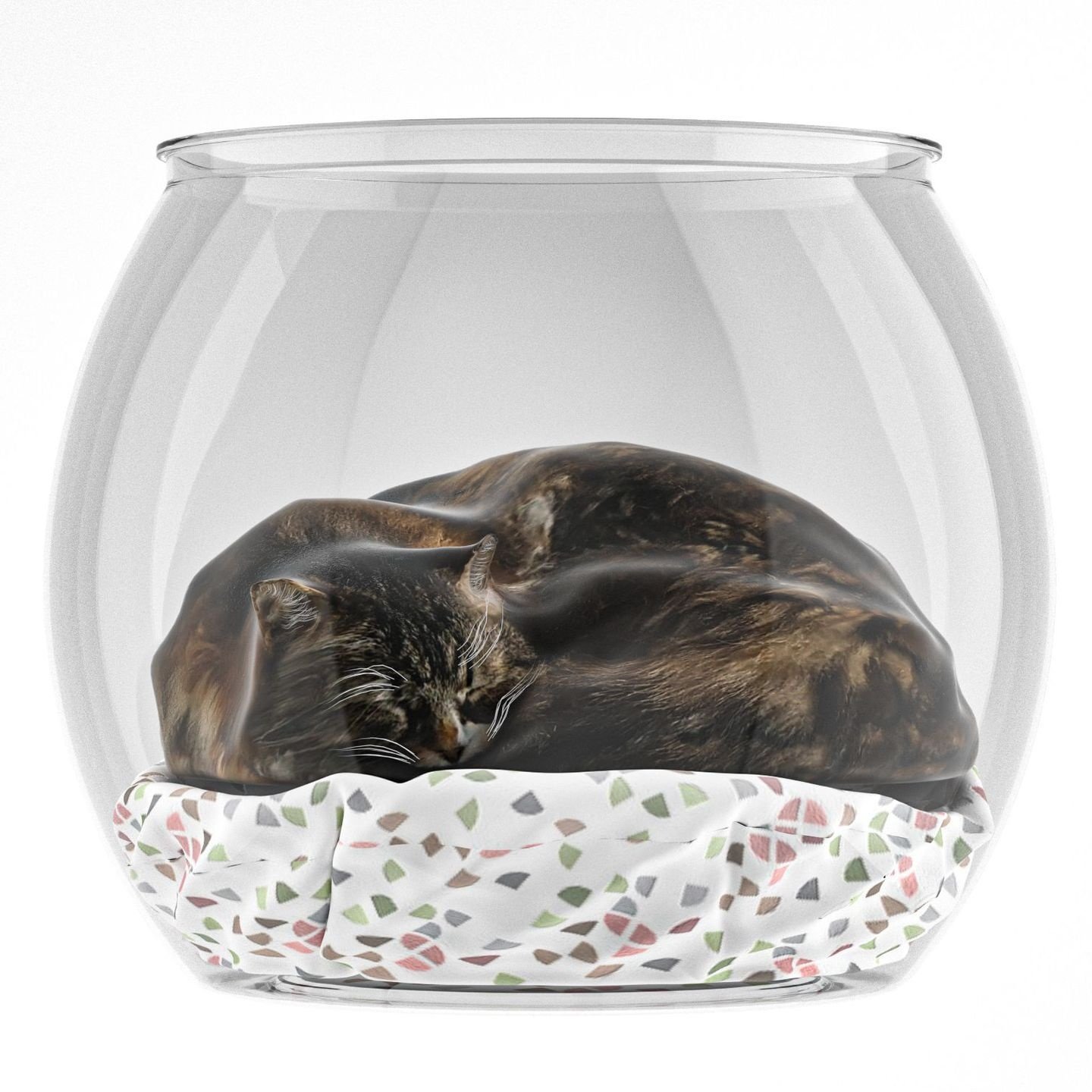 猫窝创意可爱透明猫笼四季通用透气宠物窝客厅狗狗窝猫咪窝猫猫窝,宠物/宠物食品及用品,猫笼子/猫别墅,淘宝优惠券,粉丝福利购,淘宝优惠卷