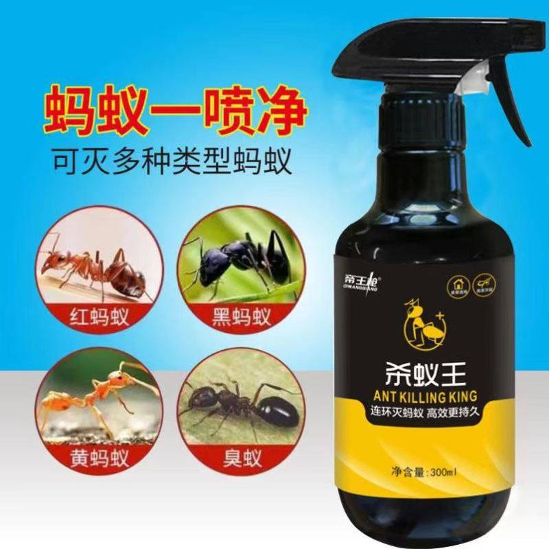 蚂蚁去除汽车驱车子清理里面有房间上桌子杀虫剂怎么清除药车内用