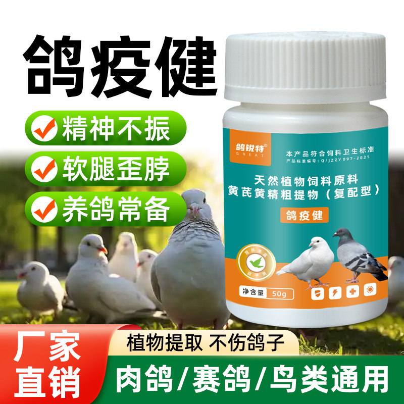 鸟类中白喉鹦鹉炸毛种鸽便口