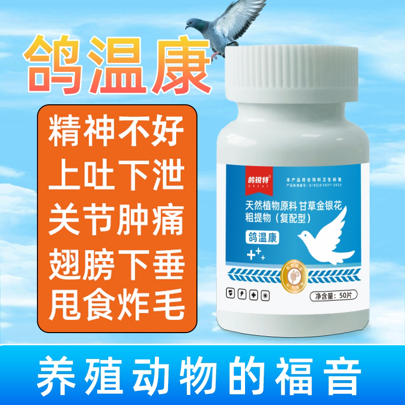 鸽子上吐下泻绿便鹦鹉肉鸽