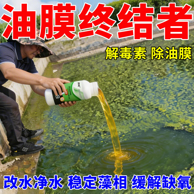 鱼塘除油膜调水净水稳定藻相净化改水质有机酸解毒速净水水产养殖