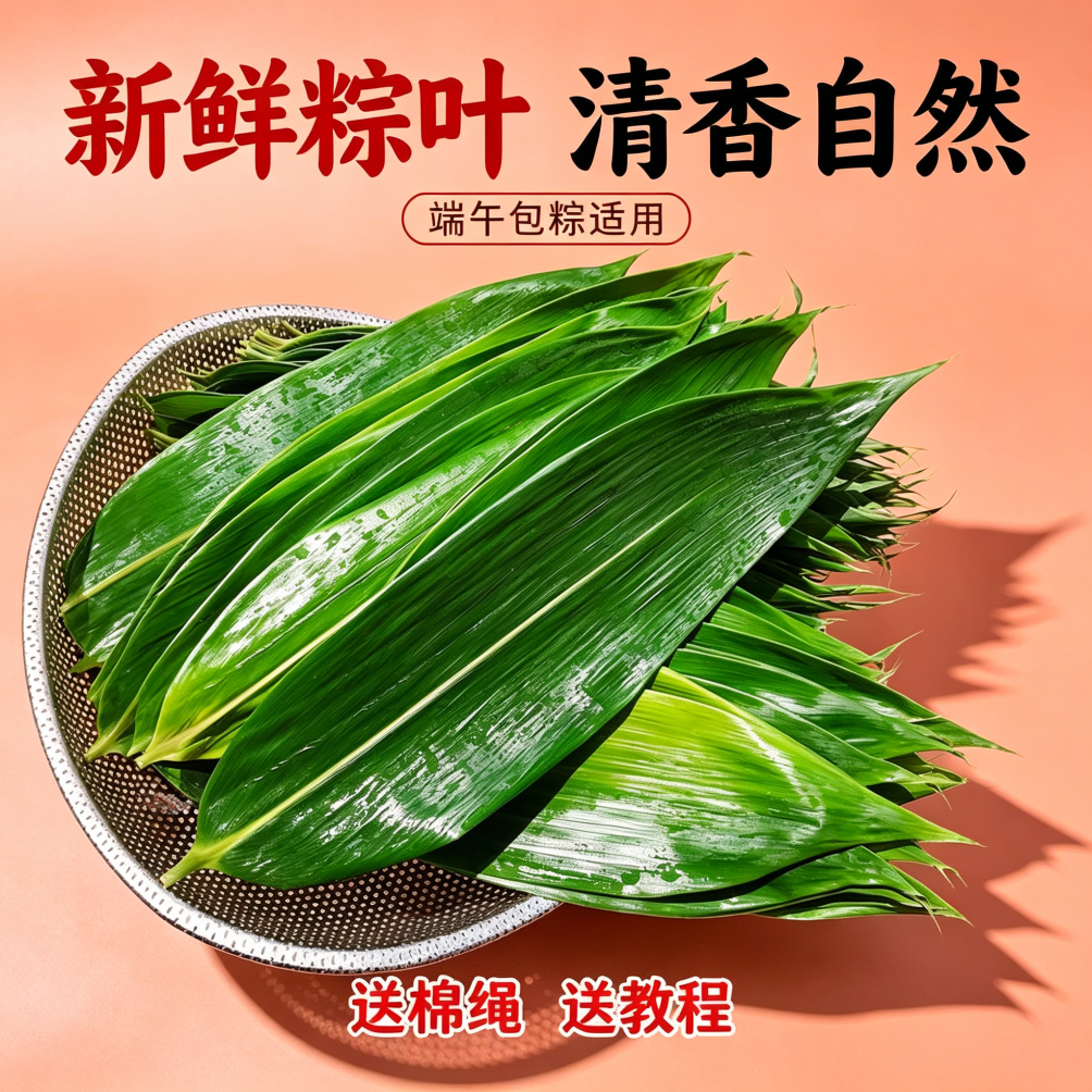 端午节粽子叶新鲜大粽叶包粽子用香气浓郁节日美食商用野生天然农家真空袋装无防腐剂箬竹叶手工采摘家用香气浓郁节日美食商用家用