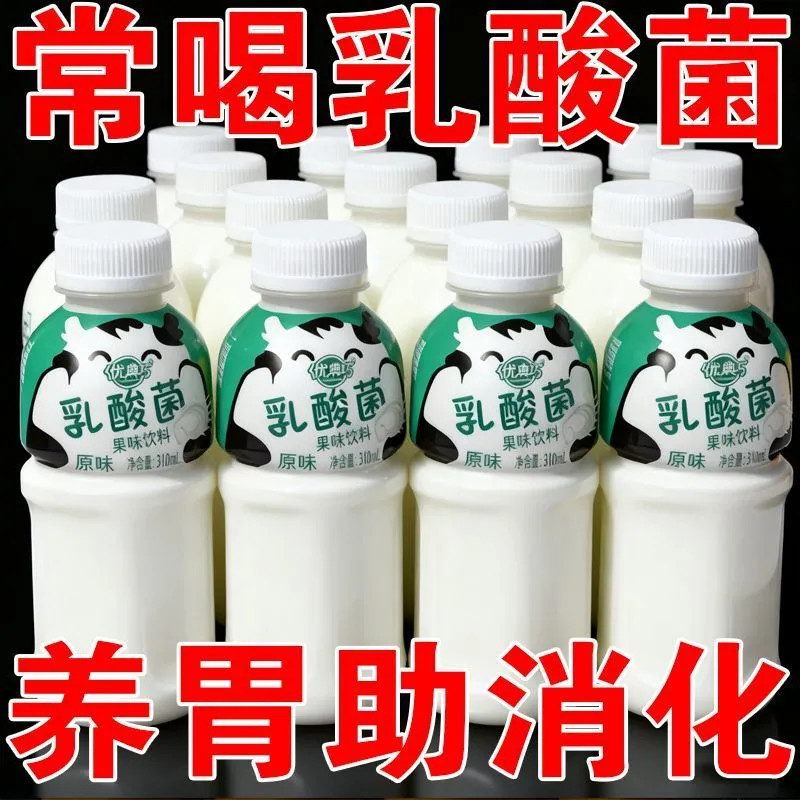 310Ml大瓶装乳酸菌饮品0糖0脂0卡新日期补充营养乳酸菌早餐奶酸奶