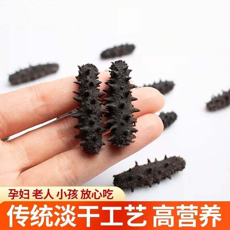 淡干海参野生冷水速发海参干货刺参大连辽参非即食佛跳墙滋补煲汤