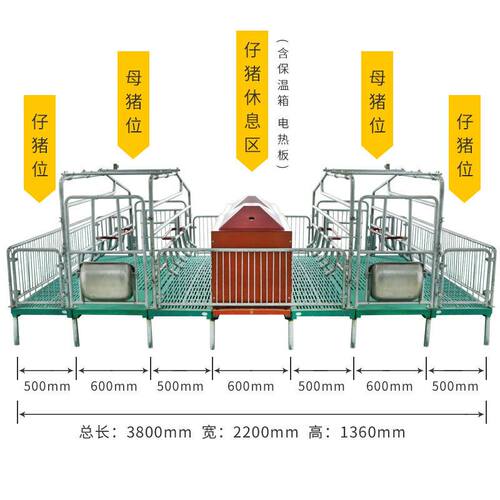 单体母猪落地产床 全复合底板产保一体猪产床尺寸 养猪场产床