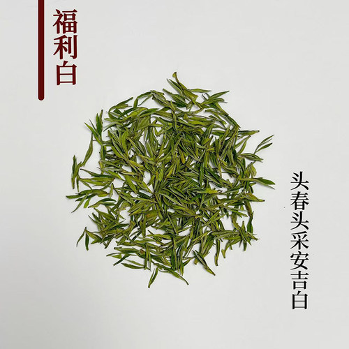 2026年根竹坑头春头采云雾白茶