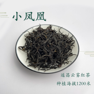 小凤凰红茶种植海拔1200米遂昌云雾红茶有试喝装正装拆封不可退