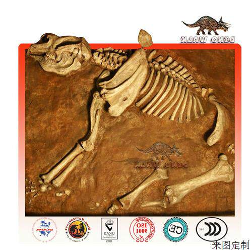 博物馆恐龙化石主题公园恐龙骨架小品景观展出仿真化石标本出售