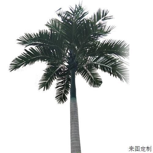 仿真大型人造椰子树厂家户外水乐园假树广场装饰玻璃钢大王椰子树图片