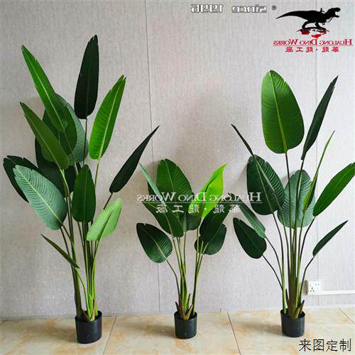 仿真植物制作工厂室内外景观搭配塑料植被PV龟背叶绿植假山假树