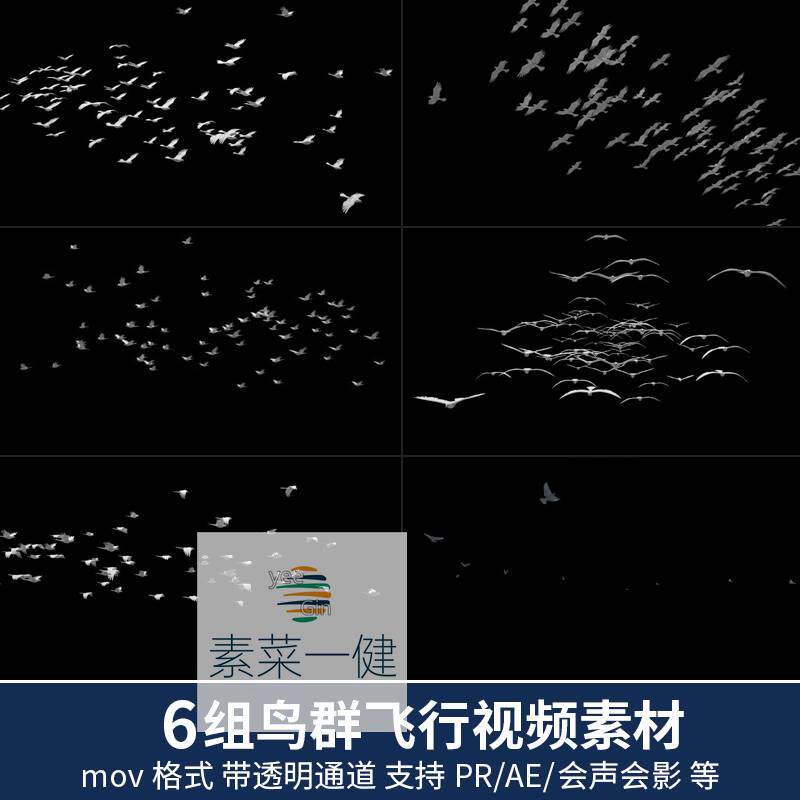 天空中鸟群小鸟飞行飞翔动画alpha透明通道pr/ae视频素材后期合成