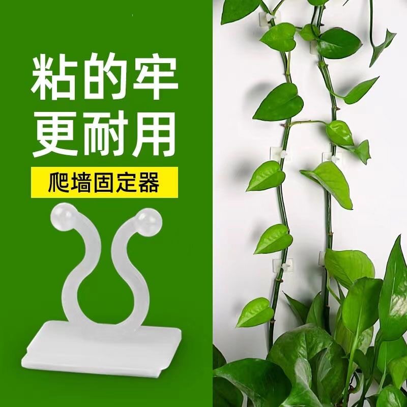 农宝绿萝爬墙固定器免打孔夹子