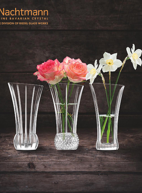 NACHTMANN德国进口简约ins透明轻奢水晶玻璃小花瓶摆件欧式插花瓶