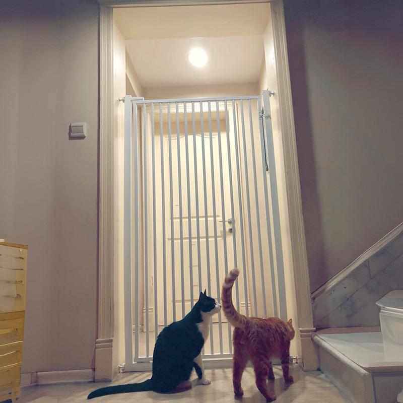 宠物门栏免打孔防猫围栏挡拦猫咪隔离小狗栅栏室内杆防跳专用阳台