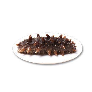 参小妹 即食海参大连辽刺参 每斤3-4头9A大个头辽参 海参