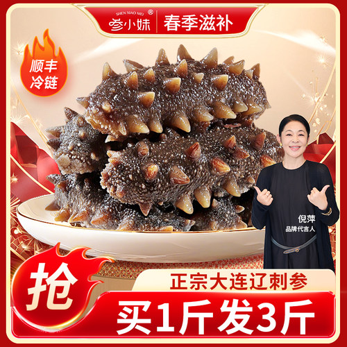 参小妹大连鲜食海参肉质肥厚