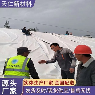 复合土工膜防渗膜两布一膜渠道衬砌人工湖河道鱼塘护坡防渗土工布