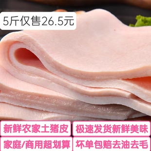 商用新鲜猪皮新鲜冷冻精品猪大皮脊背皮猪肉皮新鲜猪皮