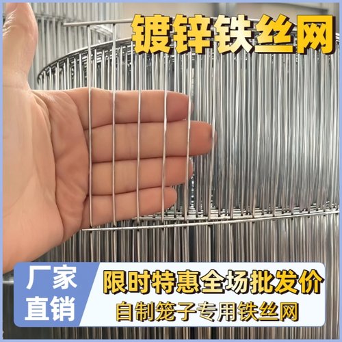镀锌电焊网加粗加密铁丝网