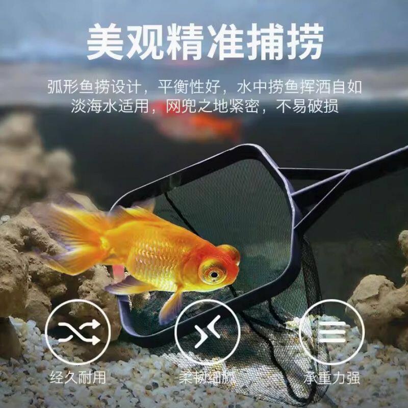 鱼缸捞鱼网水族用品金鱼捞网鱼网