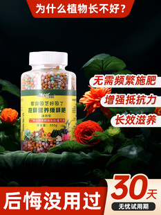 花卉氮磷钾养花肥种花通用肥料复合肥花肥盆栽兰花专用缓释肥家用