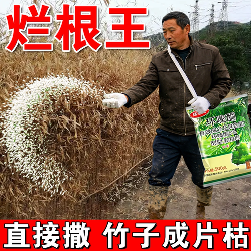 竹子强力枯竹王一滴死除杂竹杂草