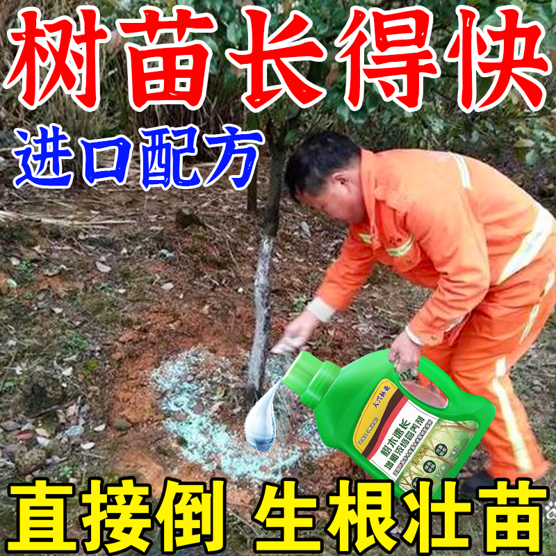 苗木速长增粗剂树木杨树桉树松树绿化树果树生长素猛长专用营养剂