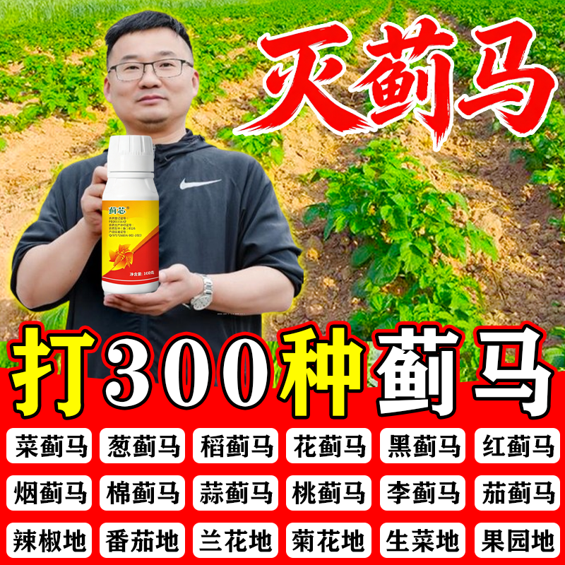 蓟马特效专用药虫卵双杀