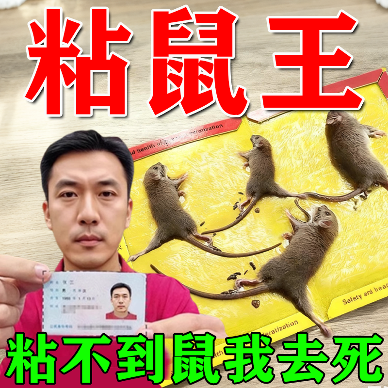 老鼠粘强力粘鼠板强力胶粘大老鼠贴强力粘鼠板超强家用加大加厚