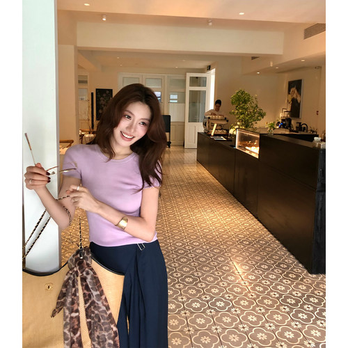 龍喜儿 三醋酸短袖T恤女圆领时髦修身百搭莱塞尔薄款针织上衣W191