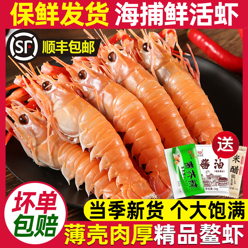 宁波舟山特产海鳌虾新鲜海捕船冻甜虾海螯虾熬虾海鲜东海深海鳌虾