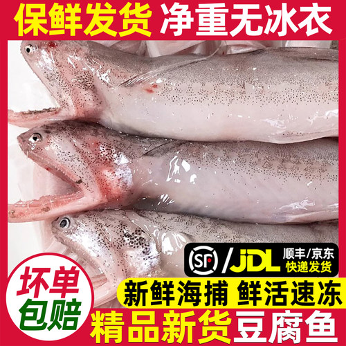 精品新货豆腐鱼龙头鱼新鲜无冰衣