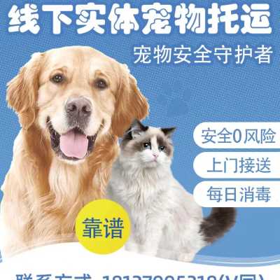 宠物托运服务运输邮寄猫咪狗狗快递空运代办随机手续航空广州深圳