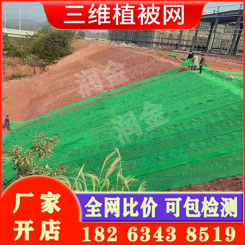 三维植被网加筋护坡绿化em4nss5厂家植草土工网151垫塑料山体固土