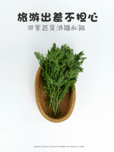 胡萝卜缨烘烤牧草天然蔬菜兔子干草新品 促进消化 娜姐与兔